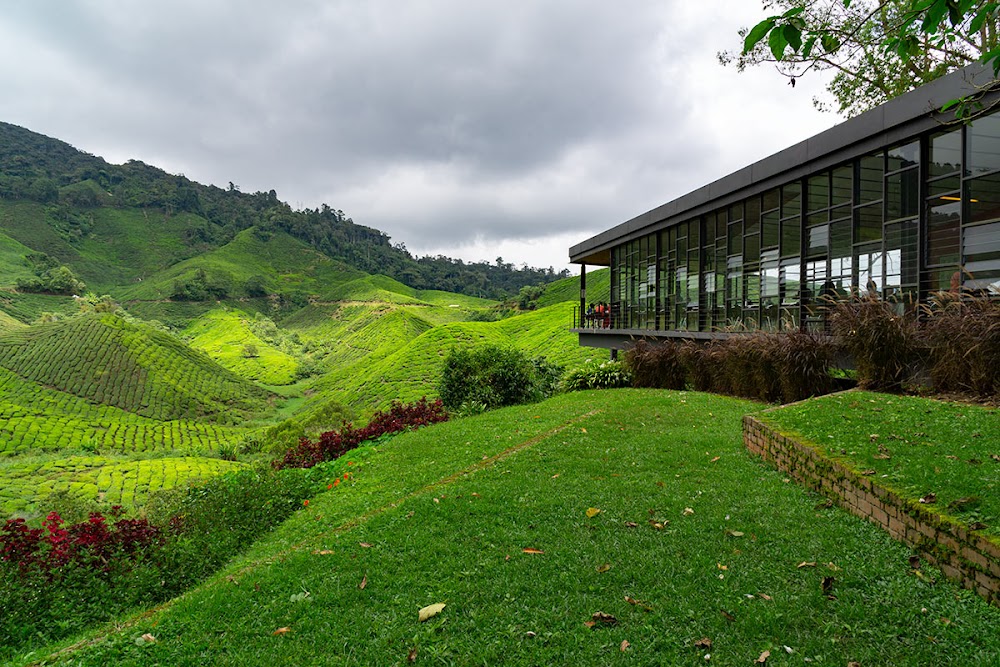 We Go With Anuar - Malaysia Private Tour Guide Specialist