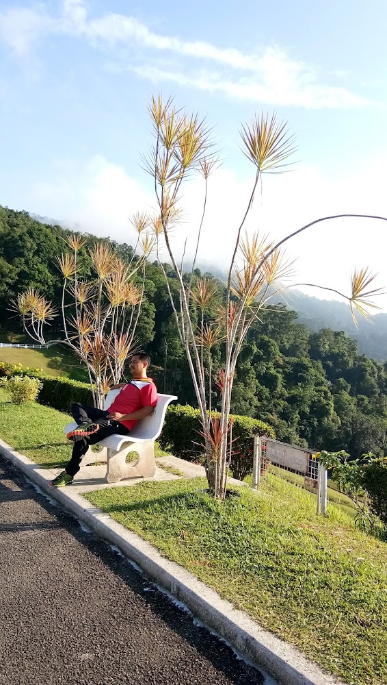 Penang private tour