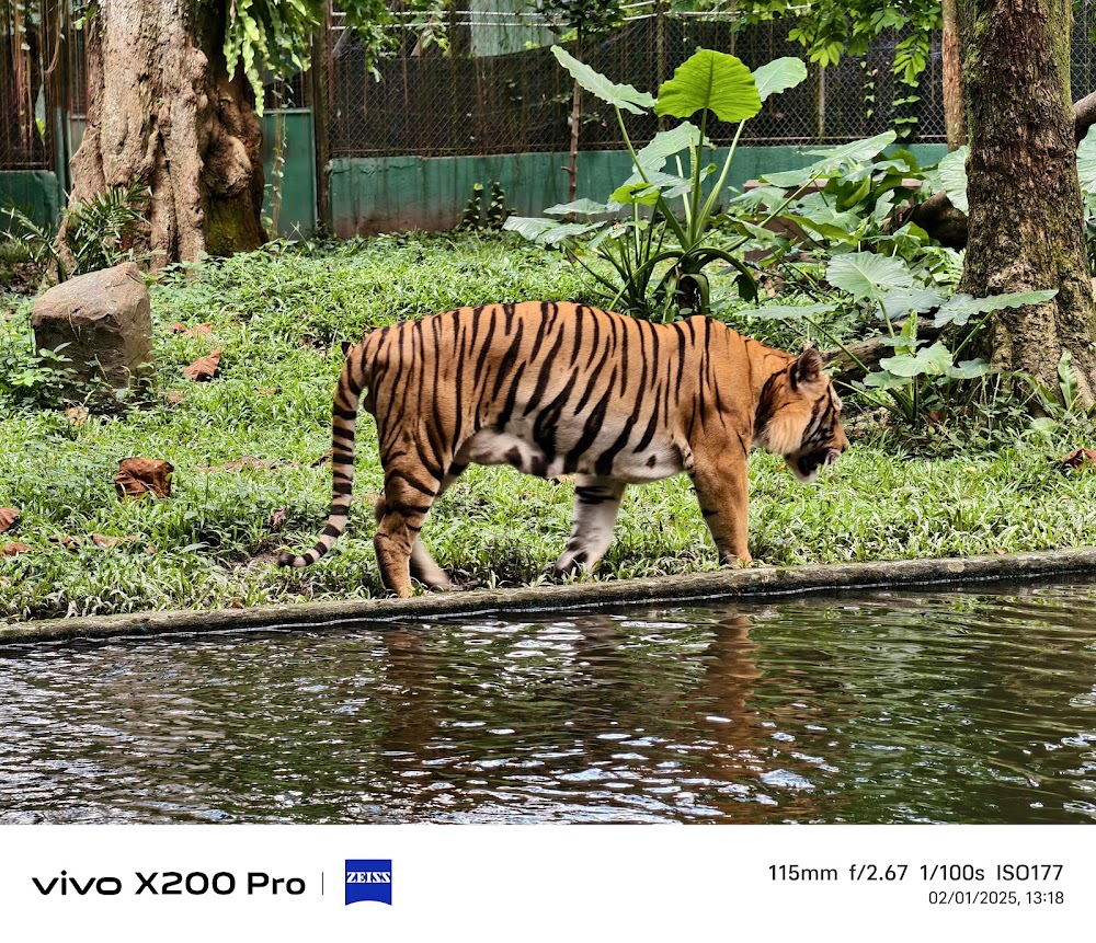 Explore Malaysia - Travel Guide