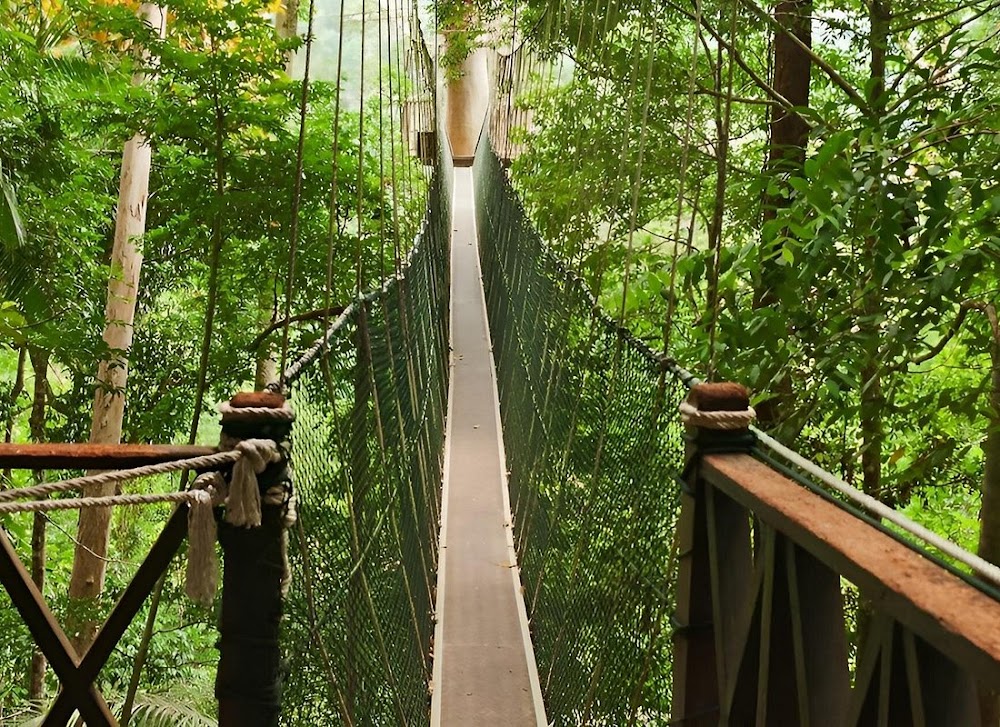 Tropical Adventure Tours & Travel