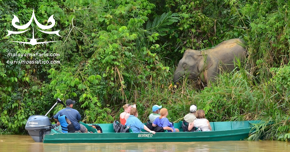 Malayan Safaris - Turismo Asiatico